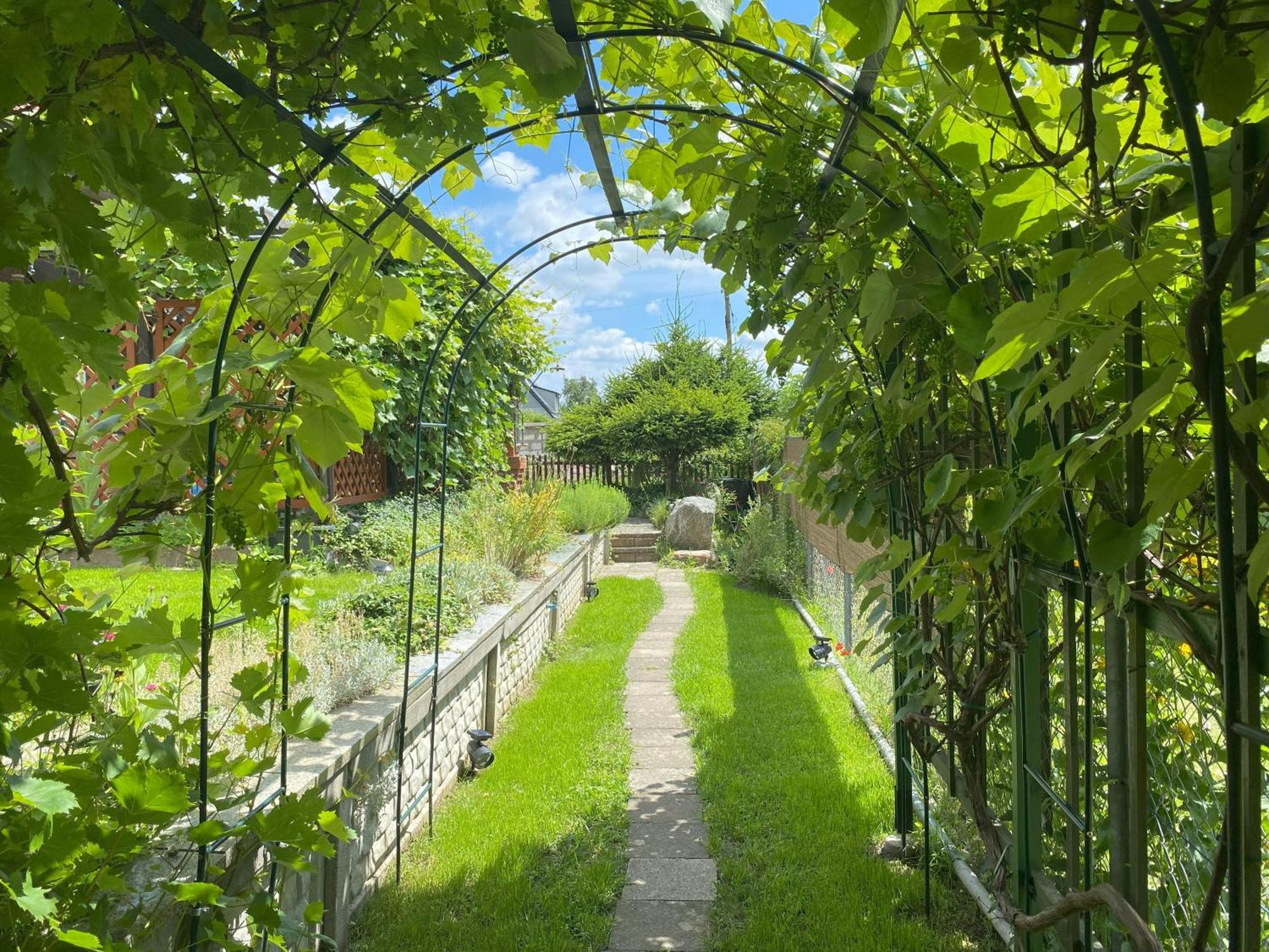 Zielone Okiennice Lagow Exterior foto